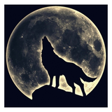 Wolf Maan Strijk Applicatie