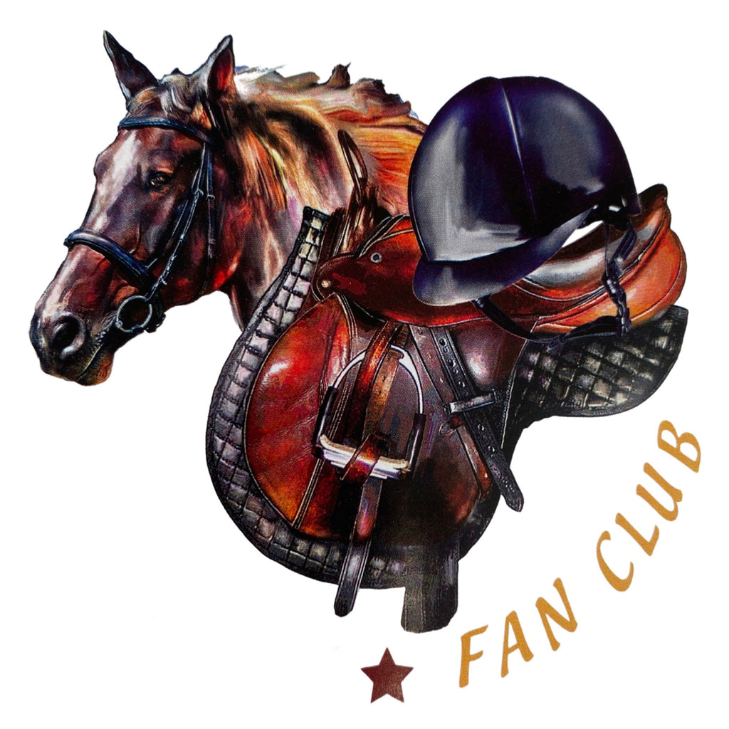 Paard Paarden Sport Paardrijden Pony Strijk Applicatie Small