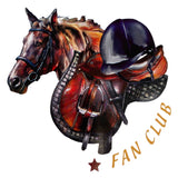 Paard Paarden Sport Paardrijden Pony Strijk Applicatie Small