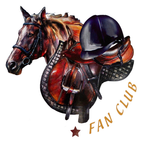 Paard Paarden Sport Paardrijden Pony Strijk Applicatie Small