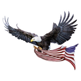 USA Freedom Eagle Strijk Applicatie