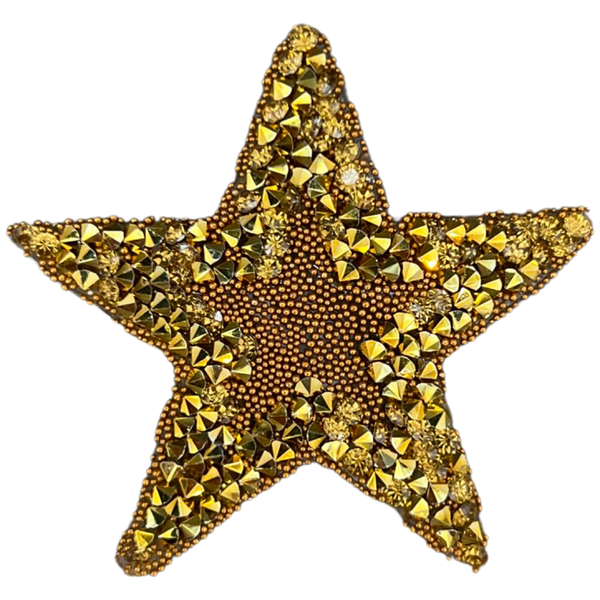 Oog Tranen Paillette XL Strijk Patch Embleem