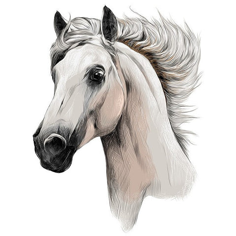 Paard Paarden Pony Strijk Applicatie