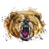 Beer Brul Beer Strijk Applicatie