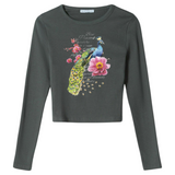 Pauw Peacock Full Color Strijk Applicatie op een grijs groene longsleeve