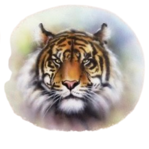Tijger Kop Wilde And Free Strijk Applicatie