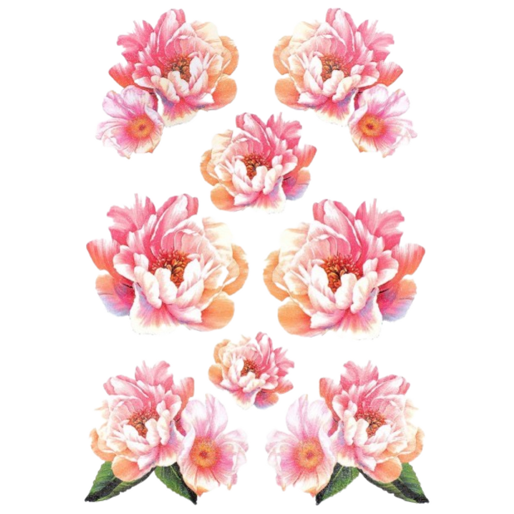 Wilde Roos Anemoon Pioen Bloem Full Color Strijk Applicatie