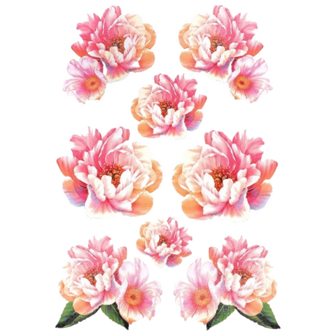Wilde Roos Anemoon Pioen Bloem Full Color Strijk Applicatie