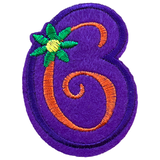 Cijfer Nummer 6 Strijk Embleem Patches Multicolor