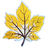 Herfstblad Herfst Blad Strijk Embleem Patch Geel