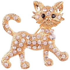 Poes Broche Goud Strass Steentjes