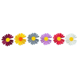 Madelief Margriet Bloemen Strijk Embleem Patch Small Set 6 stuks