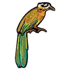 Motmot Vogel Strijk Applicatie Patch