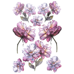 Pioen Wilde Roos Anemoon Bloem Full Color Strijk Applicatie