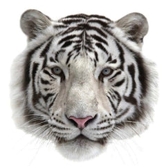 Tijger Witte Siberische Tijger Strijk Applicatie Small
