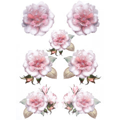 Roos Wilde Rozen Bloemen Full Color Strijk Applicatie