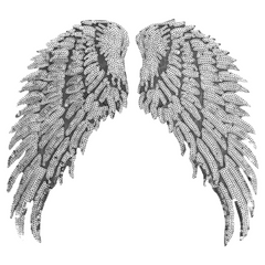 Vleugel Paillette XL Strijk Embleem Patch Set