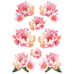 Wilde Roos Anemoon Pioen Bloem Full Color Strijk Applicatie